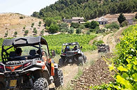 Escursione in buggy al Parco archeologico e terme naturali di Segesta