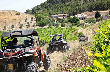 Escursione in buggy al Parco archeologico e terme naturali di Segesta