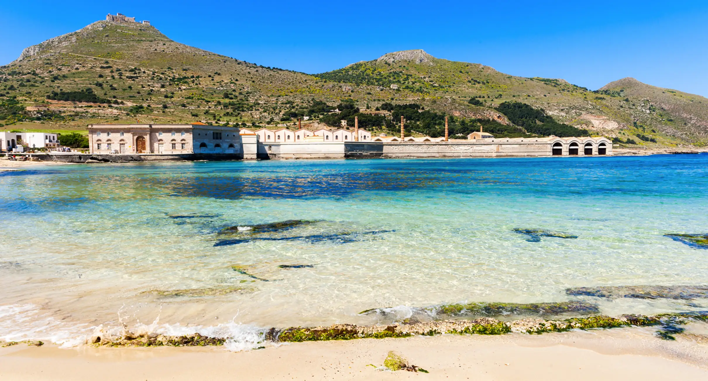 Crociera a Favignana e Levanzo da Trapani con pranzo incluso