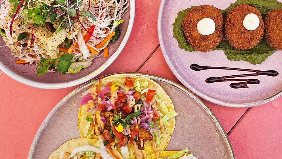 Skillz FJ @ Mummys Cafe