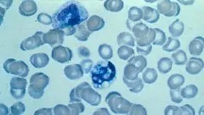Tincion Para Hongos Scientist Site