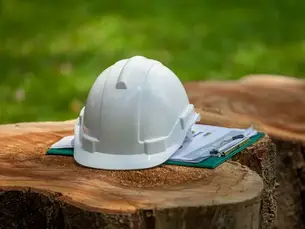 Importância da Engenharia Florestal para o Brasil