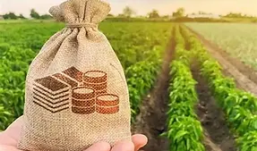 Gerentes do Agronegócio