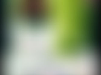 Entrevista de Manoel Mário de Souza Barros, Presidente da ALAGRO a Rádio Central FM