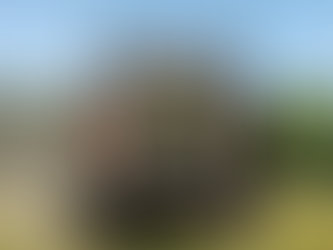 Vendas de máquinas agrícolas caem 13% no 1º tri na comparação anual, diz Anfavea