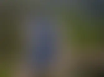 Energia impulsiona crescimento do agro e se torna fator estratégico de competitividade