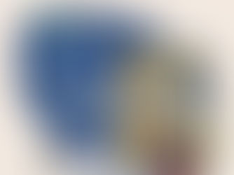 Salvaguardas para quem? Acordo UE x Mercosul