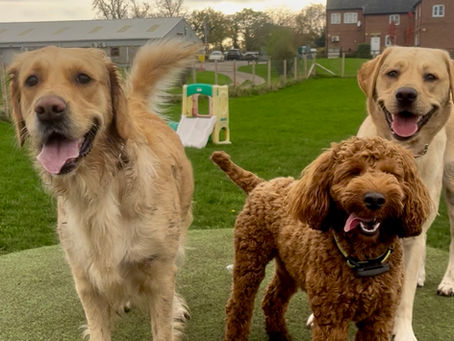 Group Secure Field Trips Sandbach