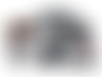 Los mejores accesorios para el automóvil para entusiastas: calidad, precio y características