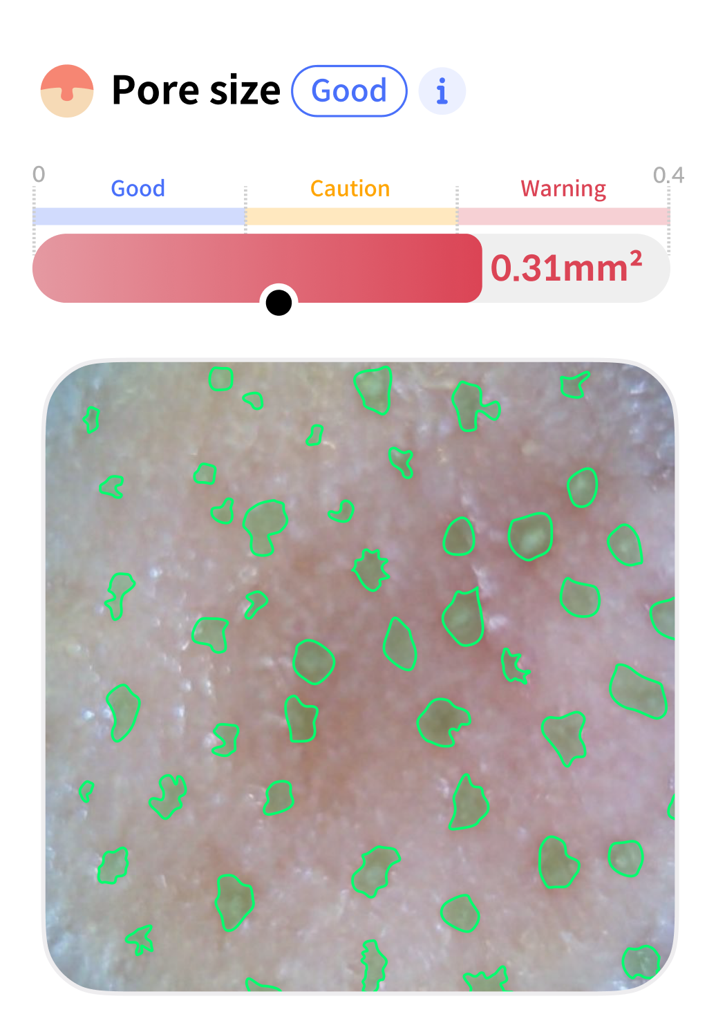 Temperature Analysis
