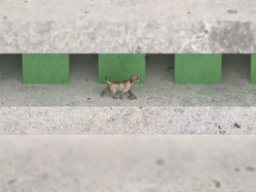 동물복지지원센터 (23) 복사.jpg