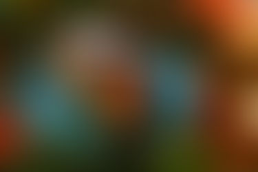 Bardzo dobry miodownik