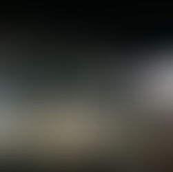 Best Places to Live in Tokyo: Find out This Year's Top 5 Chosen by Locals