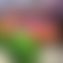 Yayoi Kusama's Eternal Soul