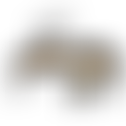 REALITY SHIFTING