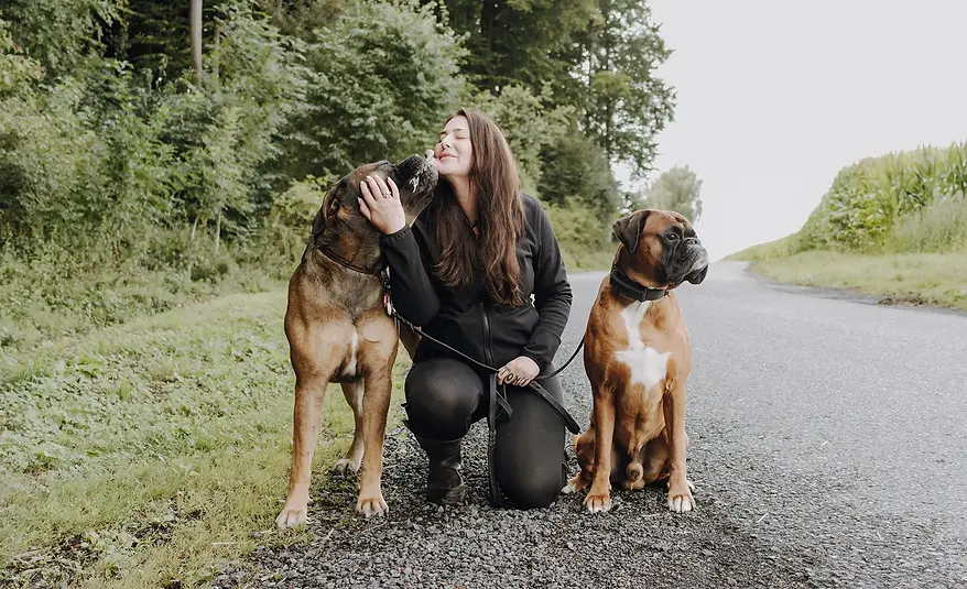 Individuelles Hundetraining für verhaltensauffällige Hunde in Werl