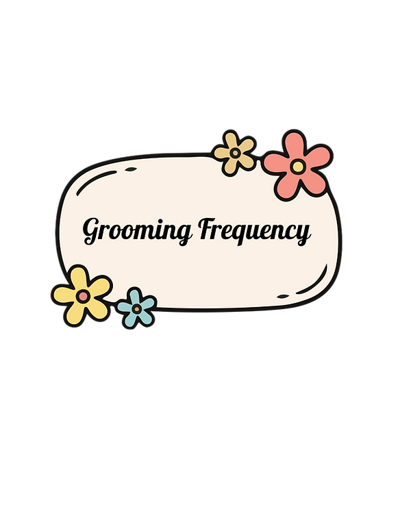 f615e3f7-b5a2-4c96-8ba5-b070fd938c17.png