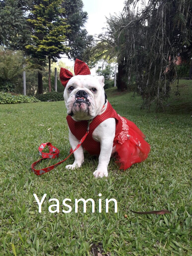 Yasmin