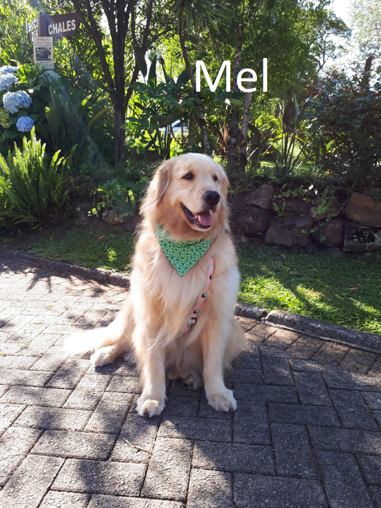 mel