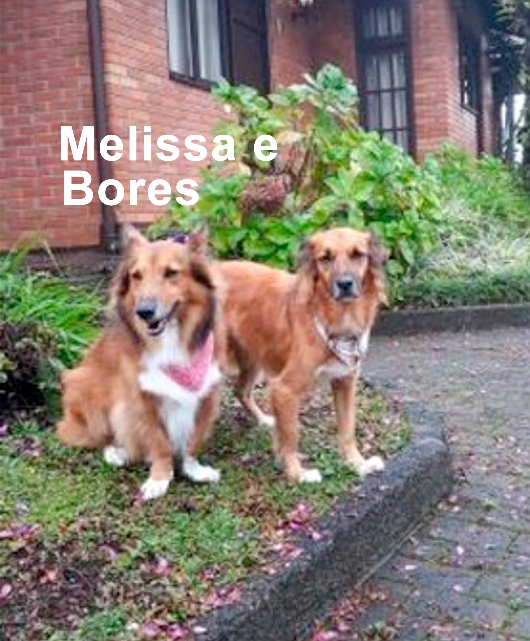 Melissa-e-Bores