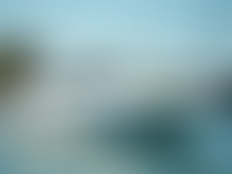 Ultimate Siesta Key Boat Rentals Advice: How to Choose the Best with Captains!