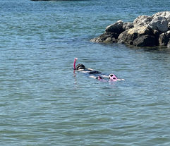 Snorkel Charter Sarasota