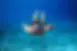 Snorkeling man