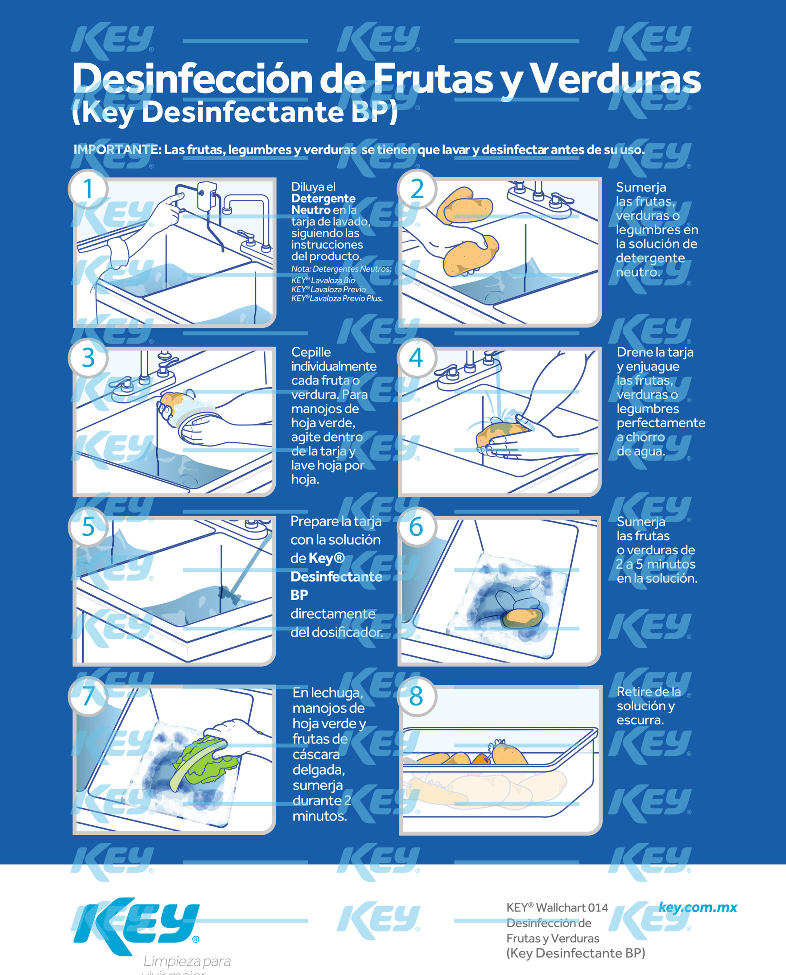 Wallchart Desinfección de Frutas y Verduras BP