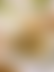 GRILLED ARTICHOKE RECIPE