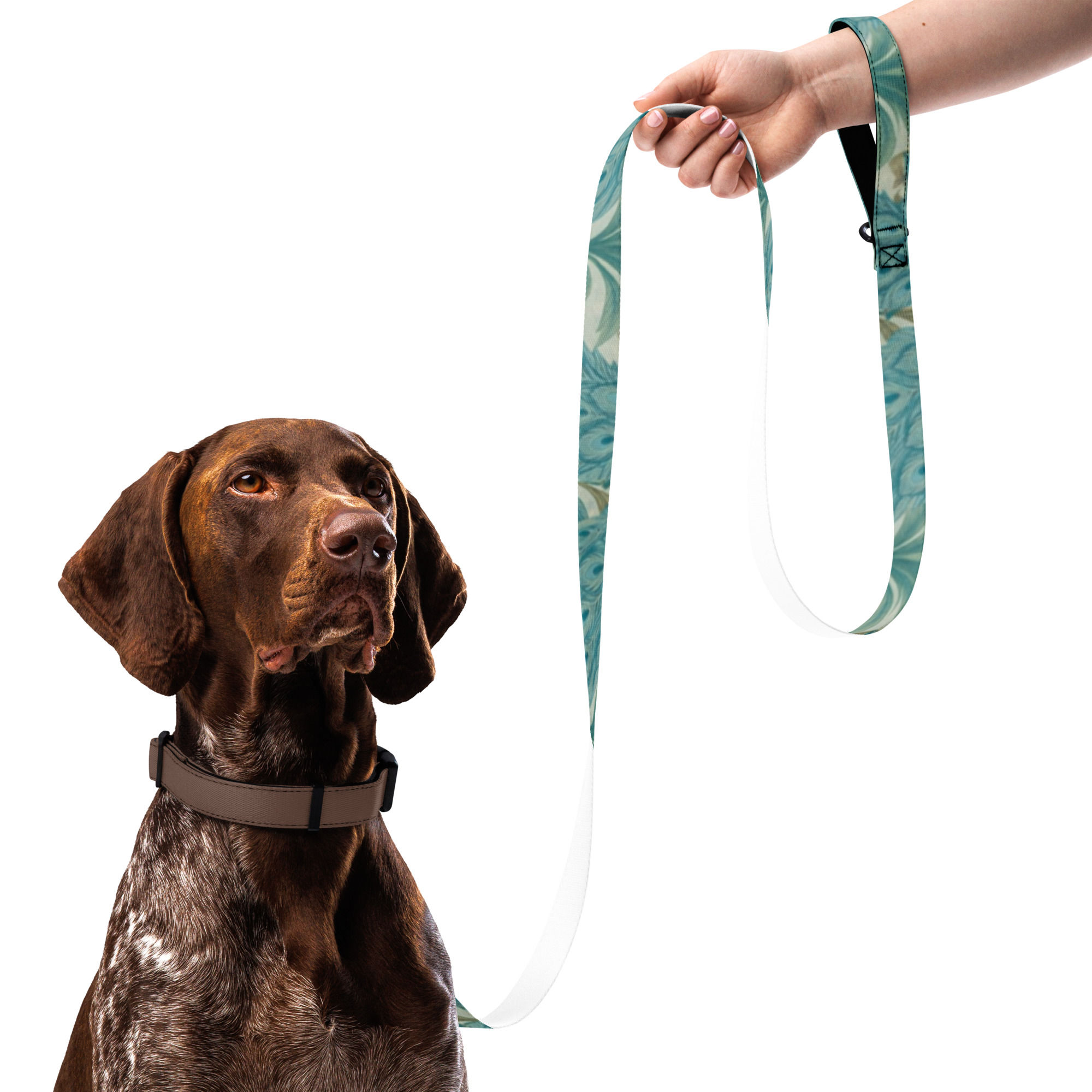 AURA PETS LEASH