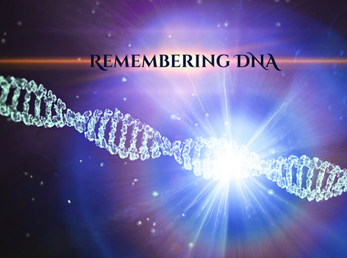Remembering DNA | Prismatic Human