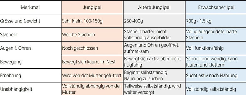 Igel Gesundheits Tabelle vom Tierschutzverein Amriswil