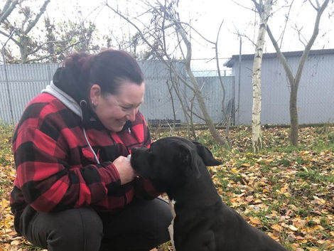 Hund Tierbetreuung Sins Haustierbetreuung Katzenbetreuung Aargau