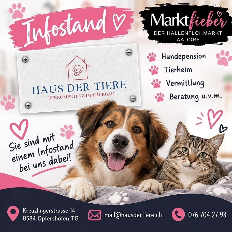 Marktfieber Aadorf