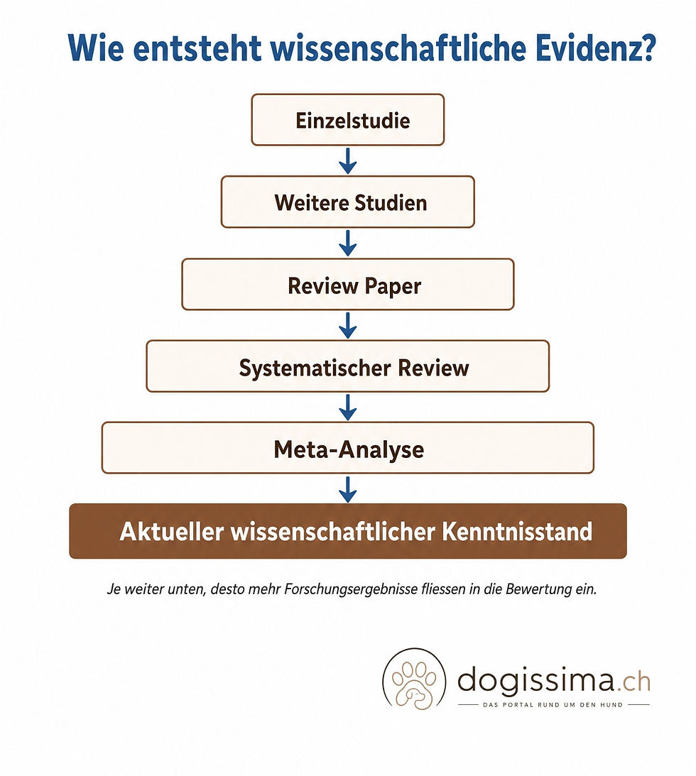 Studien verstehen