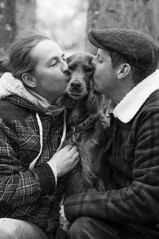 Fotoshooting mit Hund