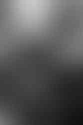 Fotoshooting mit Hund