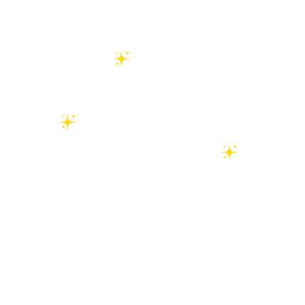 Tierbetreuung, Hundespaziergang, Gruppen-Freilauf, Professionell, Vertrauen, Auslastung, Spiel, Spass