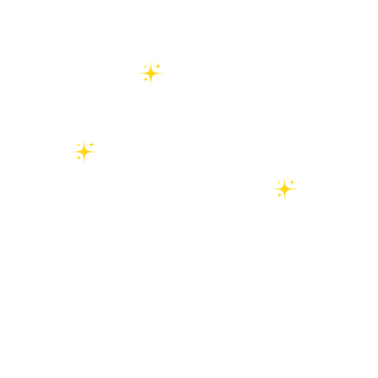 Tierbetreuung, Hundespaziergang, Gruppen-Freilauf, Professionell, Vertrauen, Auslastung, Spiel, Spass