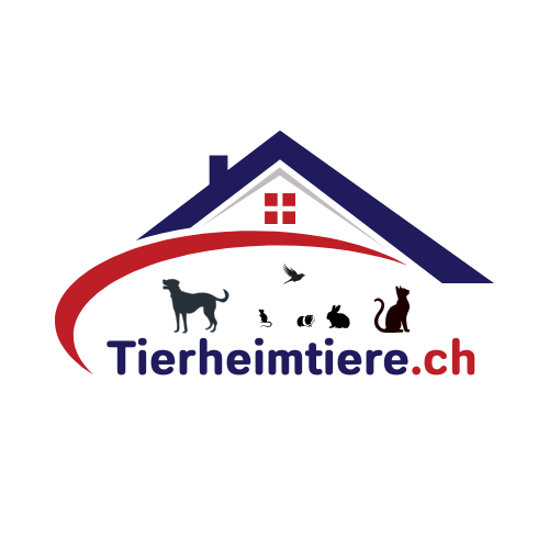 Autorenbild: Tierheimtiere.ch