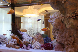 dashahouse_small_16