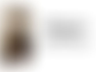 capa do livro História da Loucura, de Michel Foucault