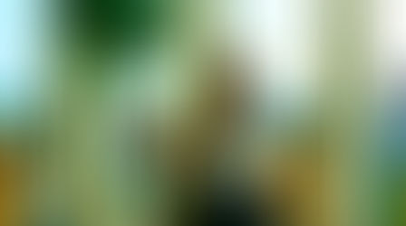 【Member's Interview 第10回】楽しむ気持ちを育むのが継続の秘訣