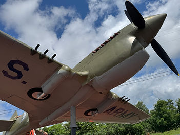 P40 guns.JPG