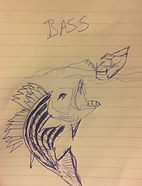 bass sketch.jpg