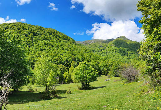 PANO_20250510_112042.jpg