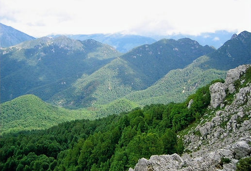 6934_4_PNALM_edited.jpg