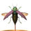 Thumbnail: Lampropelpa Rotschildi
