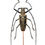 Thumbnail: Batocera Wallacei Proserpina