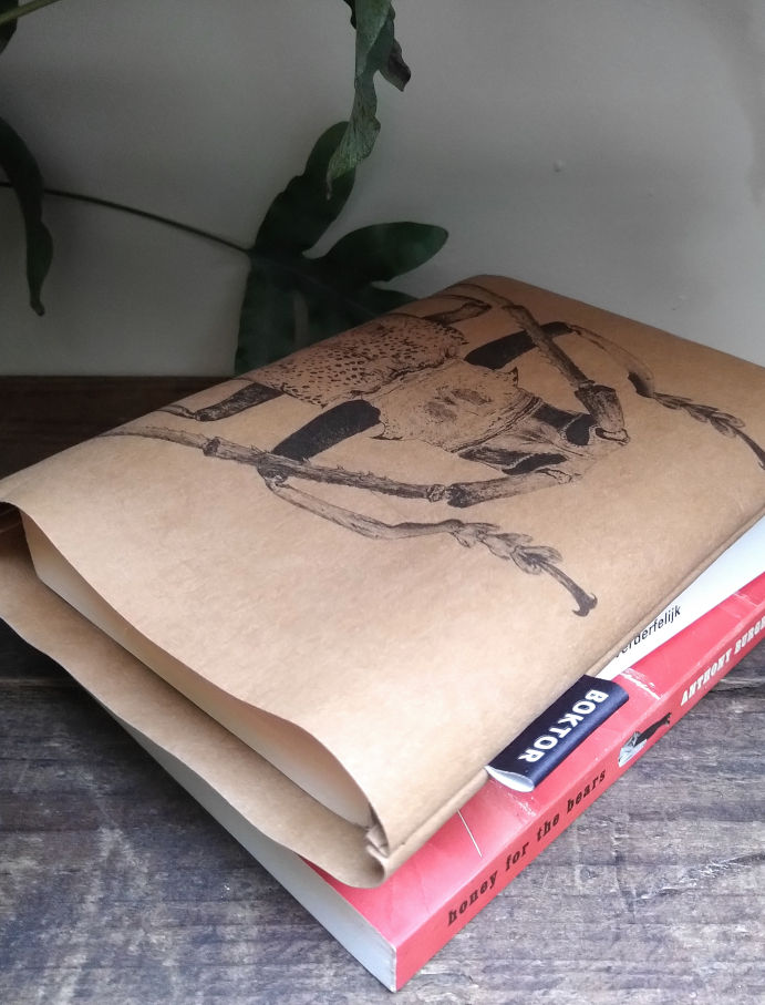 Thumbnail: Batocera Maculata